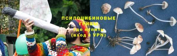 MESCALINE Алзамай