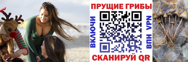 Псилоцибиновые грибы мицелий  Коркино 
