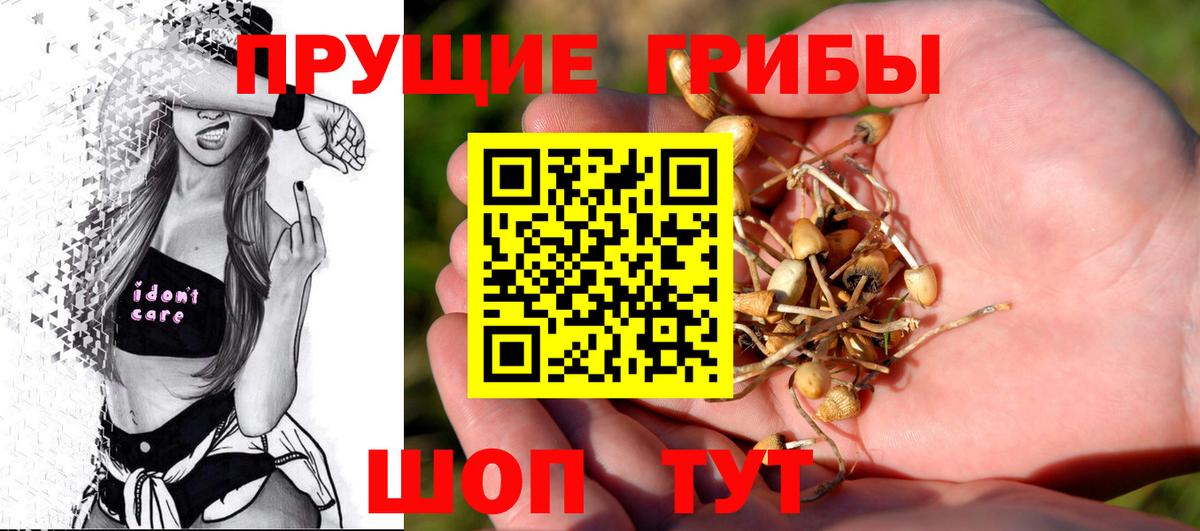 Коркино  Псилоцибиновые грибы GOLDEN TEACHER  Вход с VPN 